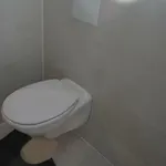 Trietje * Гент